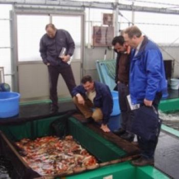 Japanreise 2007 Bauer Stefan